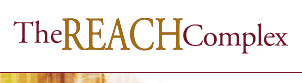 Header Graphic